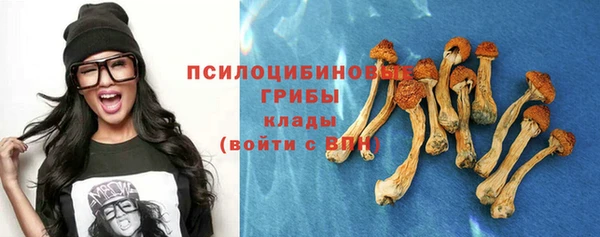 мефедрон Богородицк