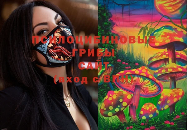 мефедрон Богородицк