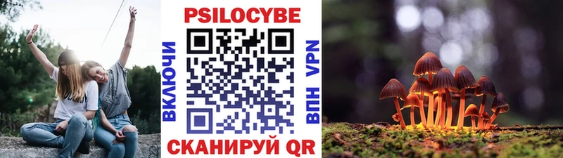 где купить наркоту  Новороссийск  Псилоцибиновые грибы прущие грибы 